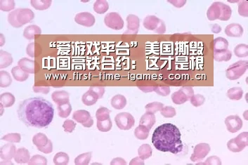 爱游戏平台