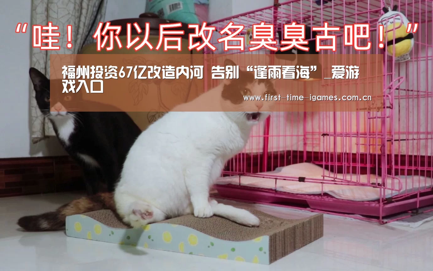 爱游戏平台