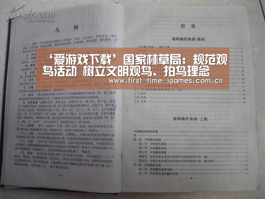 爱游戏APP