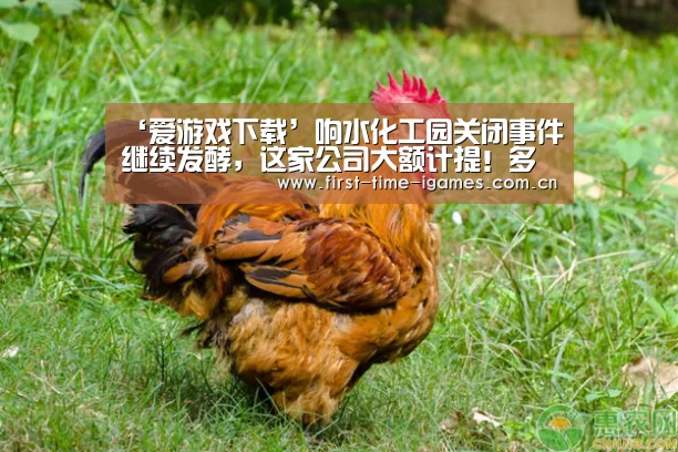 爱游戏APP